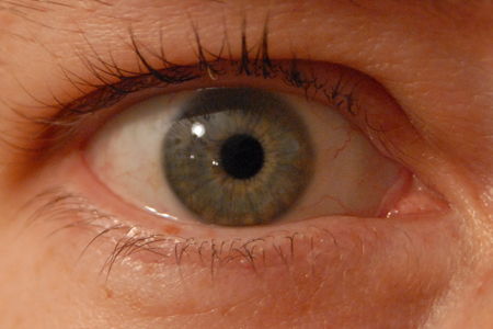 Eyeball 1.jpg